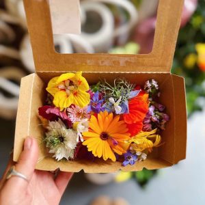 edible flowers in cornwall