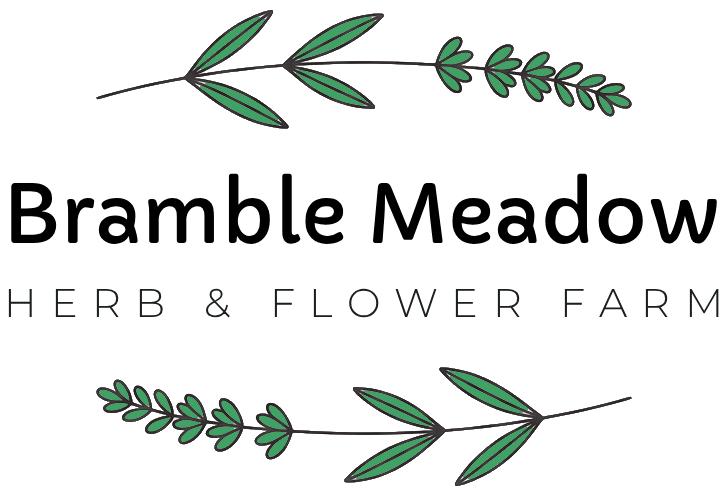 bramble meadow, north Cornwall herbs and flower farm